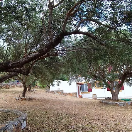 Melivia Feriehus Hersonissos (Crete)