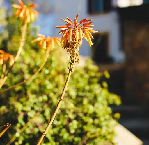 בית נופש Melivia