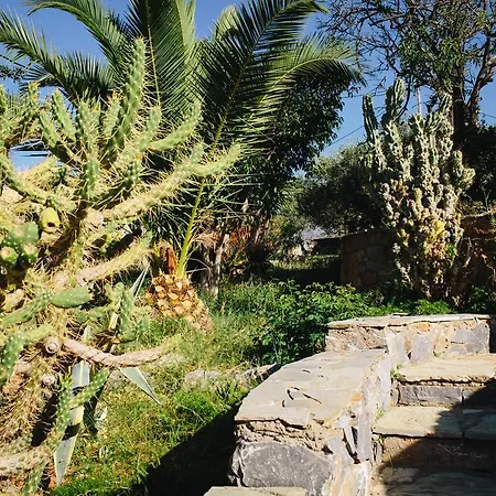 Melivia